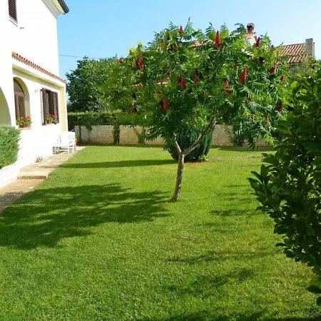 Apartman Lovely Groundfloor Bale